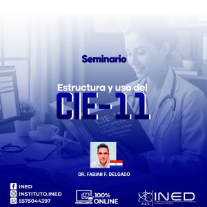SEM ESTRUCTURA Y USO DEL CIE-11