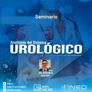 SEM ANATOMIA DEL SISTEMA UROLOGICO
