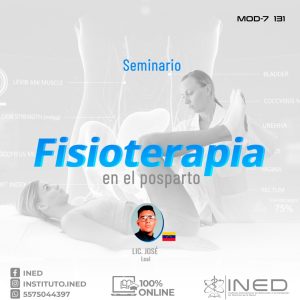 SEM FISIOTERAPIA EN EL POSTPARTO