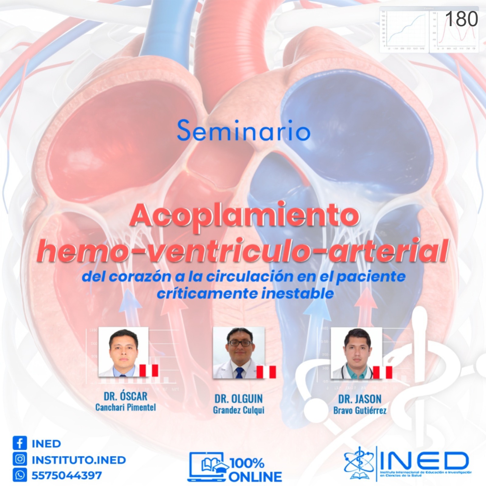 ACOPLAMIENTO HEMO-VERTICULO-ARTERIAL DEL CORAZON A LA CIRCULACION EN EL PACIENTE CRITICAMENTE INESTABLE