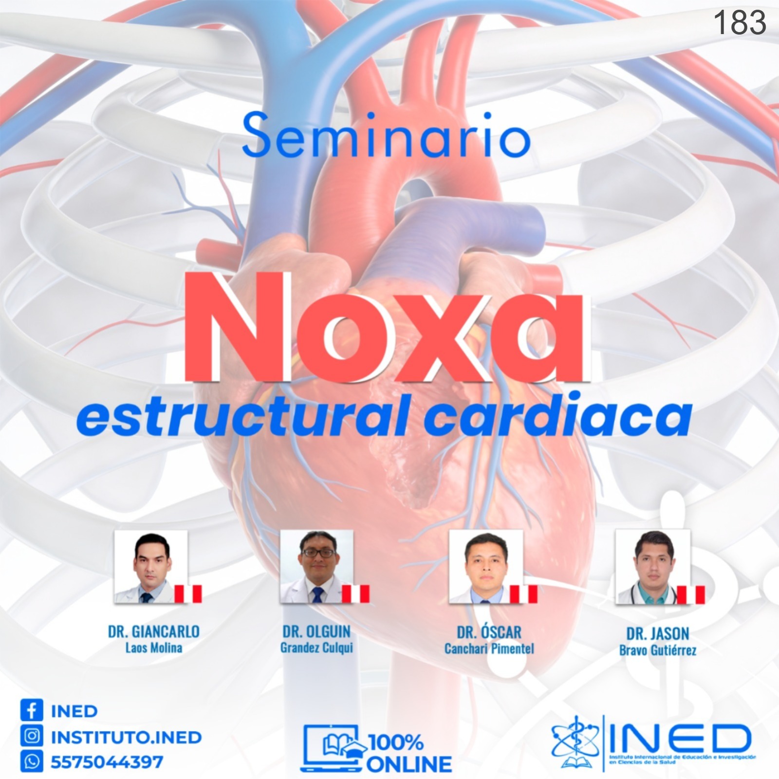 NOXA ESTRUCTURAL CARDIACA